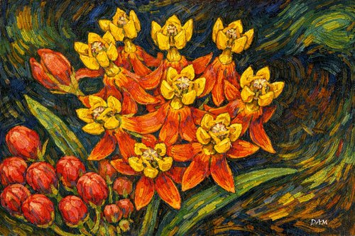 Milkweed